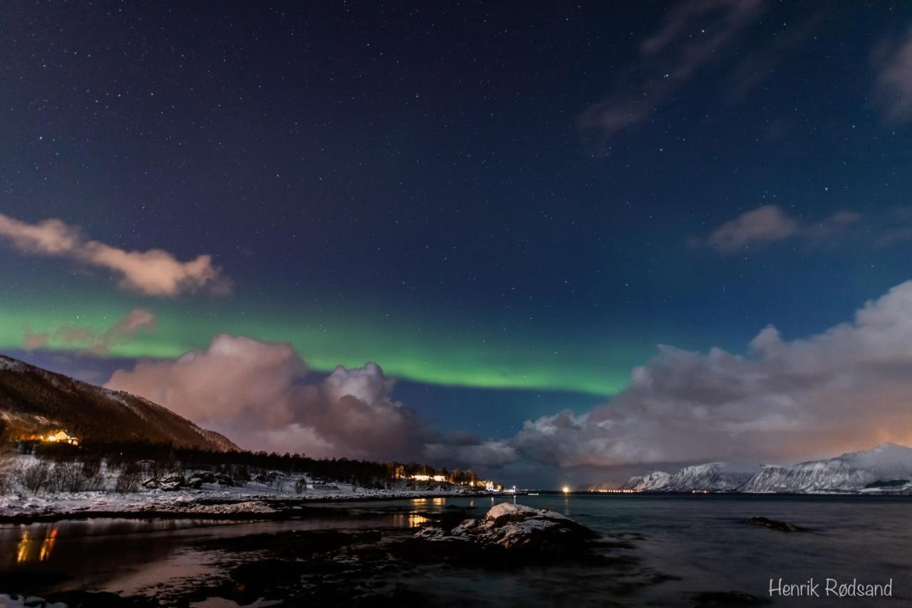 Toftenes Sjohuscamping Alsvåg Extérieur photo